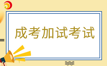 2024年河南省成考艺术类加试考生须知